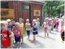 Wizyta przedszkolaków w wrocławskim zoo