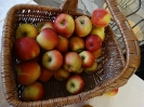 Święto Jabłka i Marchewki w internacie 2015