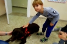 Labrador w przedszkolu