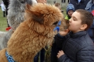 PIERWSZY DZIEŃ WIOSNY