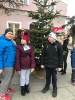 Ubieranie choinek na Rynku w Rydzynie