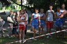 Obraz 058