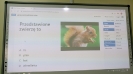 Zajęcia w ramach projektu Cyfrowa Szkoła Wielkopolsk@ 2020