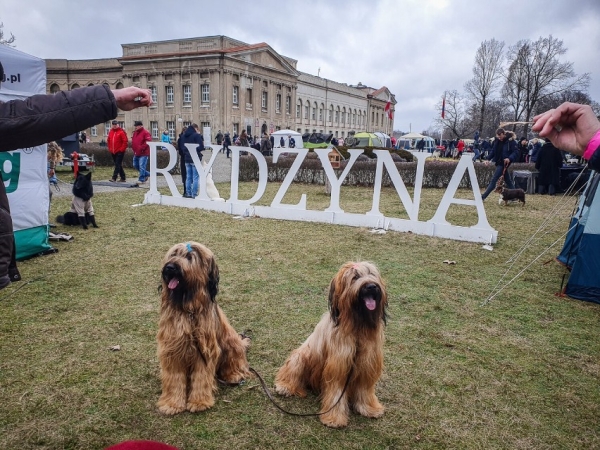 Krajowa Wystawa Psów w Rydzynie